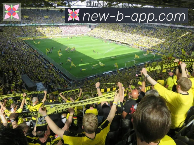 App 展示图